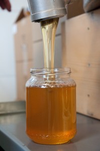 Lemon Fair Honeyworks-53